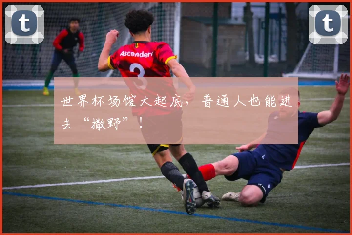 世界杯场馆大起底，普通人也能进去“撒野”！